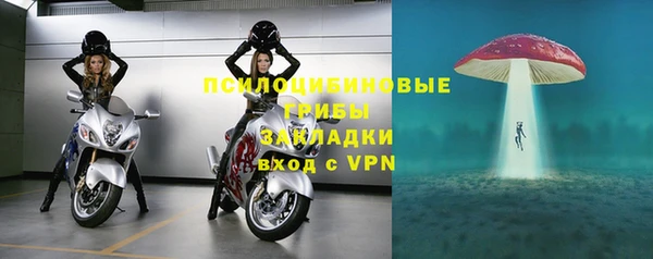 эйфоретик Беломорск