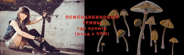 эйфоретик Беломорск