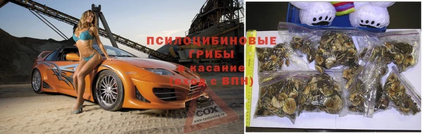 эйфоретик Беломорск
