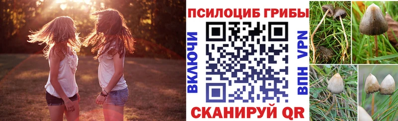 блэк спрут ссылка  сколько стоит  Томмот  Галлюциногенные грибы мухоморы 